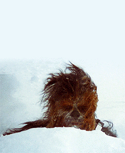 A dog lying in the snow
AI-generated content may be incorrect.