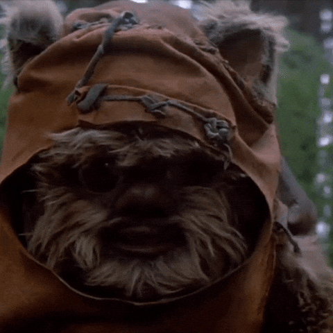 A dog wearing a brown hood
AI-generated content may be incorrect.