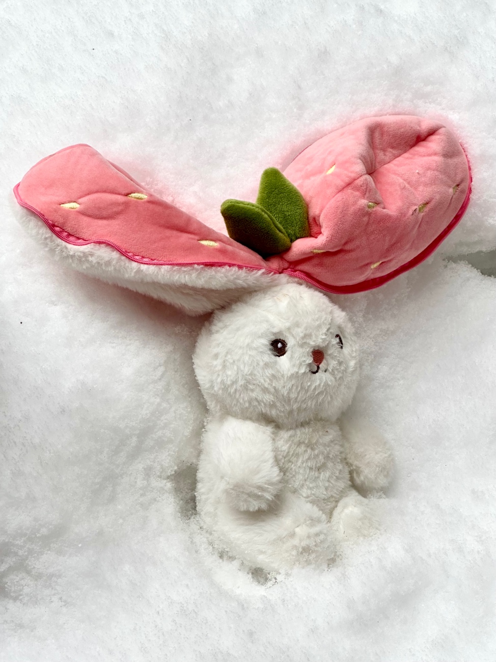 A stuffed animal rabbit with pink ears
AI-generated content may be incorrect.