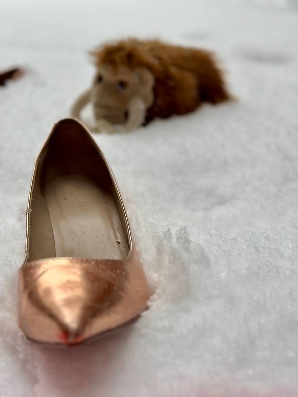 A shoe in the snow
AI-generated content may be incorrect.