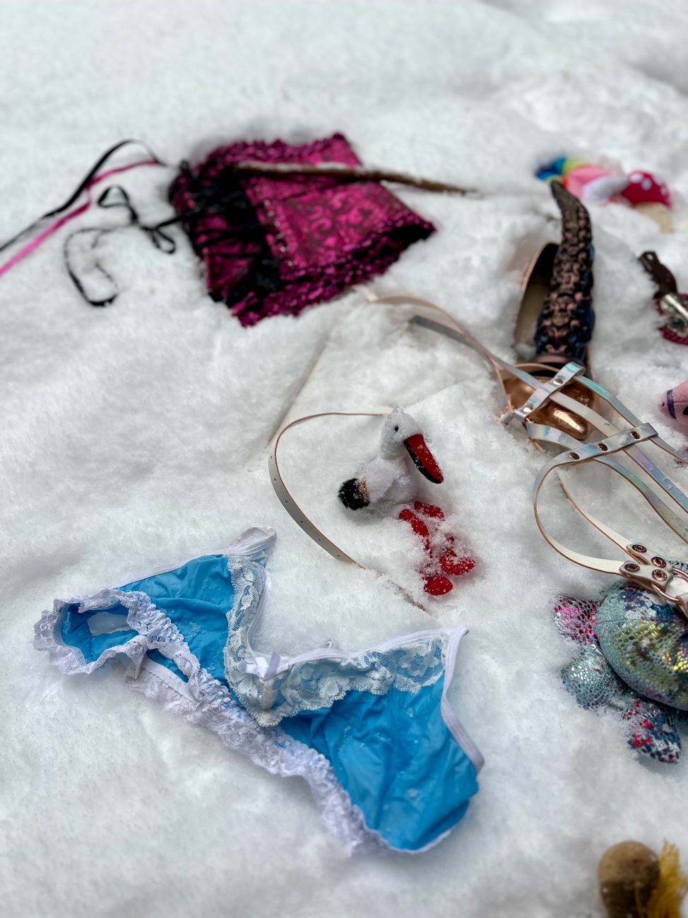 A group of lingerie and other items
AI-generated content may be incorrect.